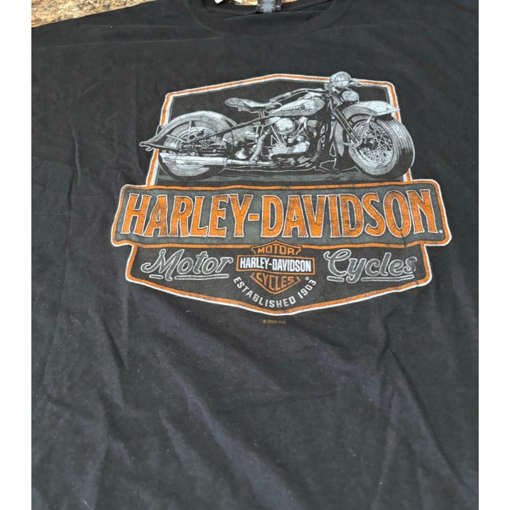 Harley-Davidson 4X Big & Tall Double-Sided Graphic Tee - Picture 2 of 7